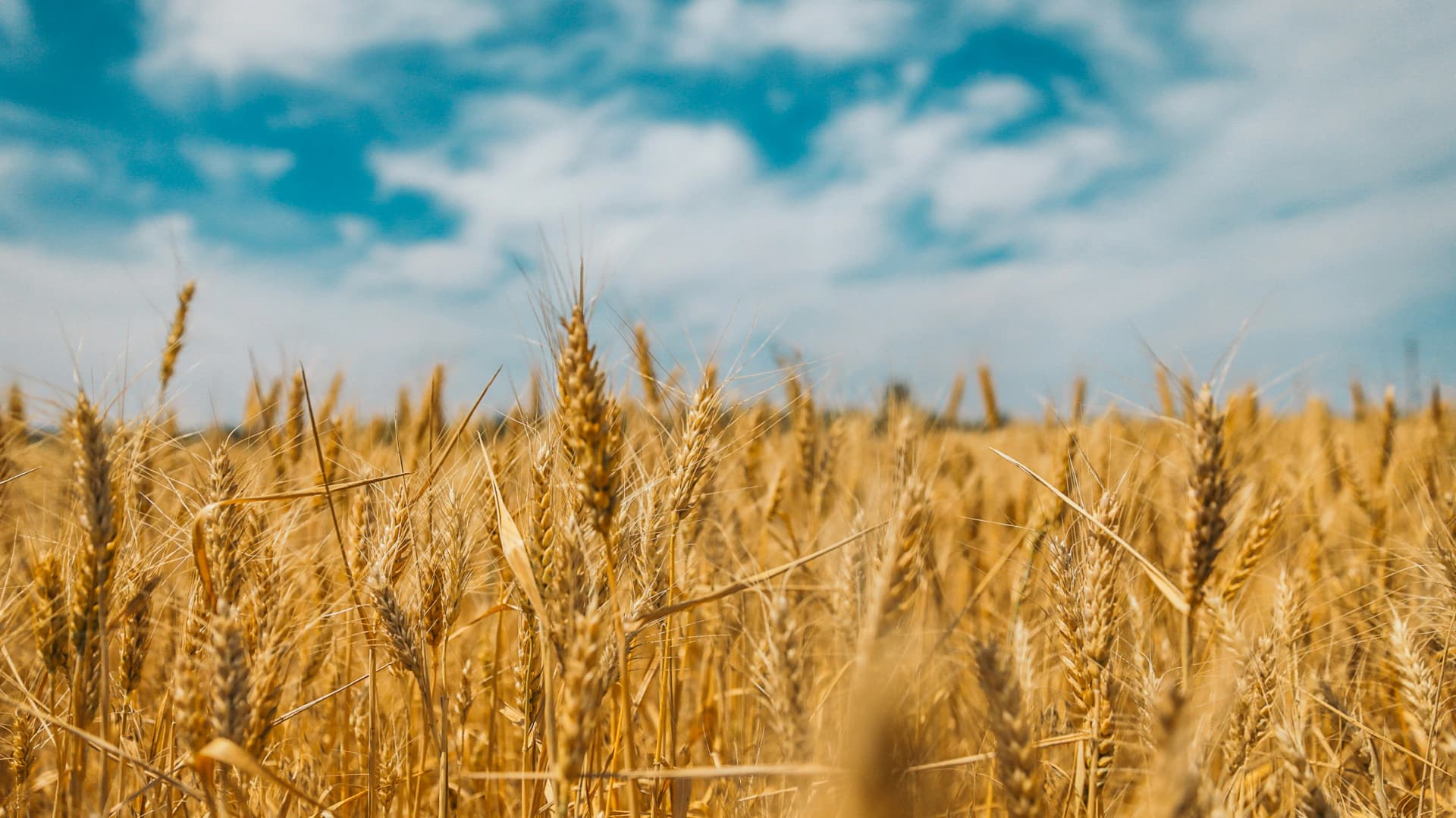 polina rytova 1dGMs4hhcVA unsplash